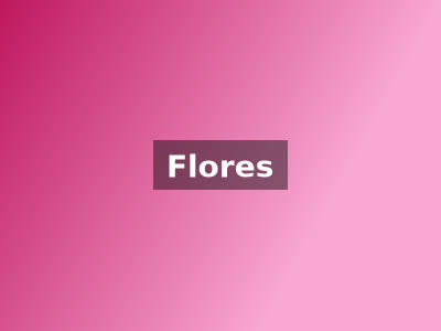 Flores